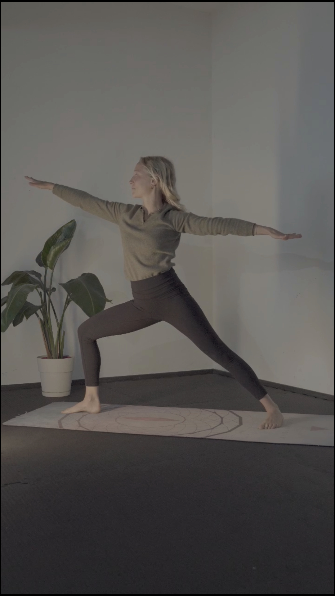 yoga palau